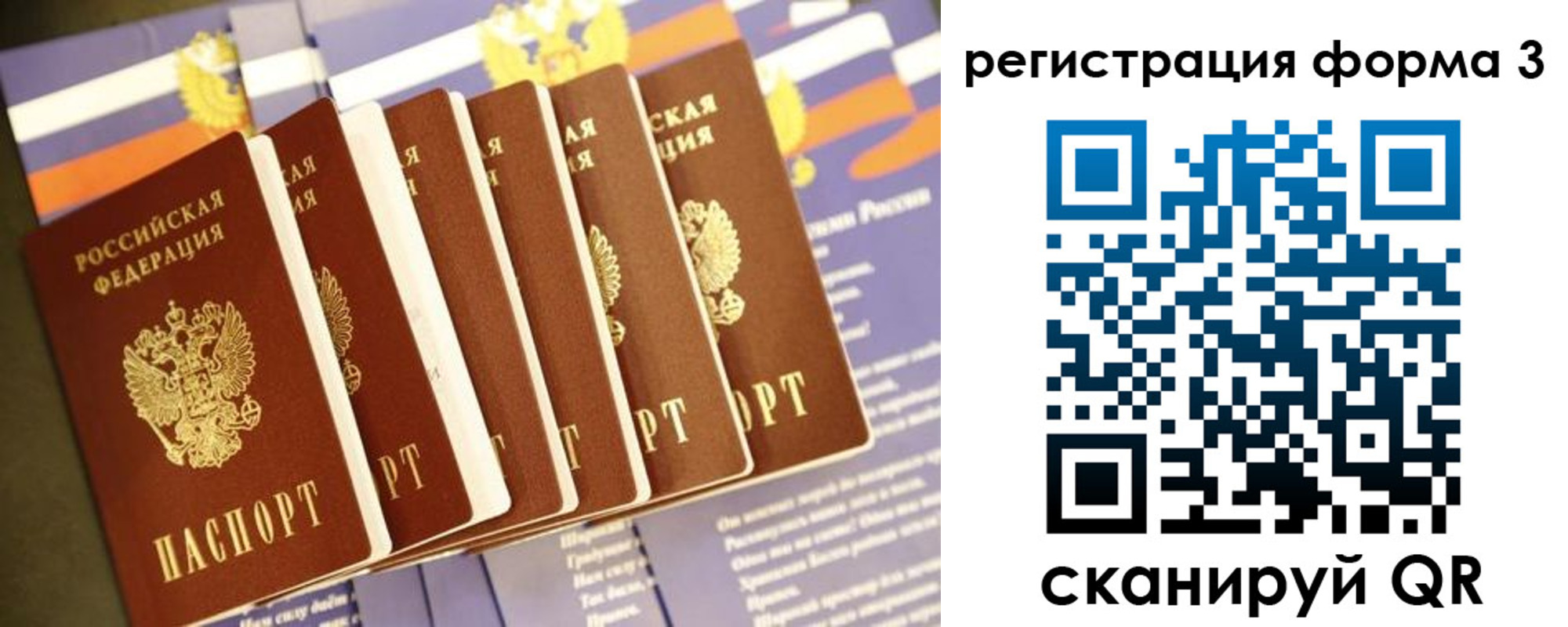 прописка поиск в Калининградской области