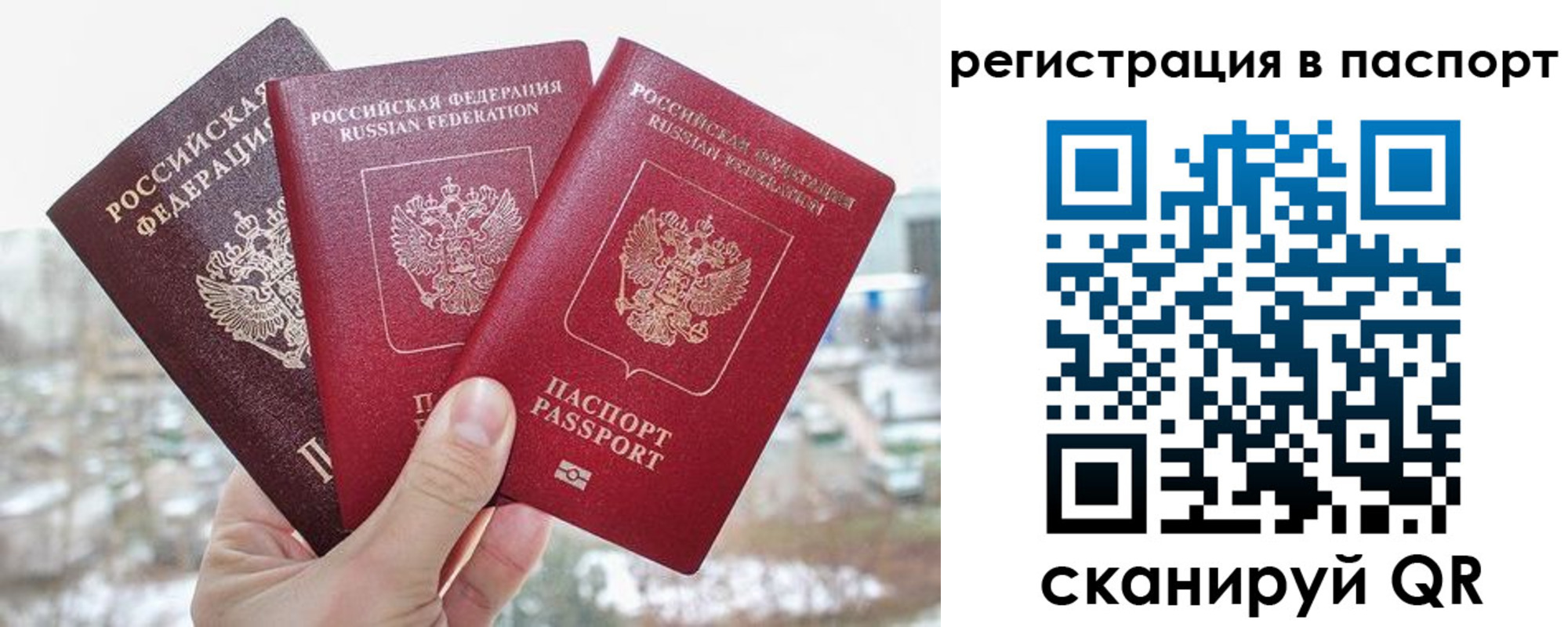 регистрация для школы в Калининградской области